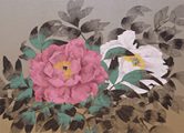 冨貴花（牡丹の花）