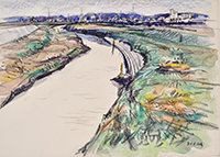 呼吸している川（谷本川）